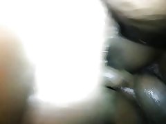 BBW koira tyyli