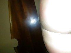 Koira ass joukkue
